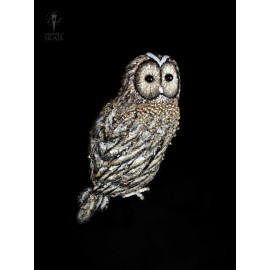 Sagė “Auksinė Pelėda”