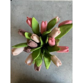 Lininių tulpių puokštė Lininių tulpių puokštė