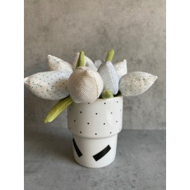 Lininių tulpių puokštelė Lininių tulpių puokštelė