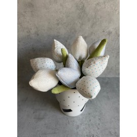 Lininių tulpių puokštelė Lininių tulpių puokštelė