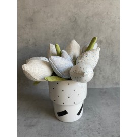 Lininių tulpių puokštelė Lininių tulpių puokštelė