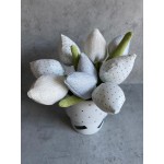 Lininių tulpių puokštelė Lininių tulpių puokštelė