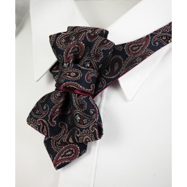 Kaklaraištis peteliškė varlytė  "RYTAI"