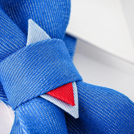 Kaklaraištis peteliškė varlytė  "NICA"