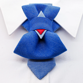 Kaklaraištis peteliškė varlytė  "NICA"