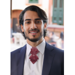 Kaklaraištis peteliškė varlytė žiogas "GRANATAS"