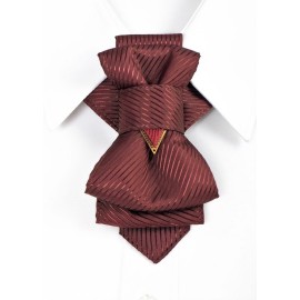 Kaklaraištis peteliškė varlytė  " SHIRAZ" Kaklaraištis peteliškė varlytė  " SHIRAZ"