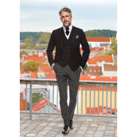 Kaklaraištis peteliškė varlytė  " Arktika"