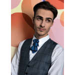 Kaklaraištis peteliškė varlytė  „LAKONIŠKAS“