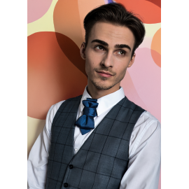 Kaklaraištis peteliškė varlytė  „LAKONIŠKAS“