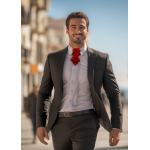 Kaklaraištis peteliškė varlytė "KORIDA"