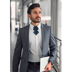 Kaklaraištis peteliškė varlytė  " Kosmosas"