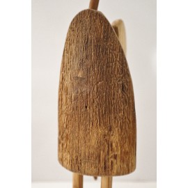 Mažas angelėlis su paukštuku