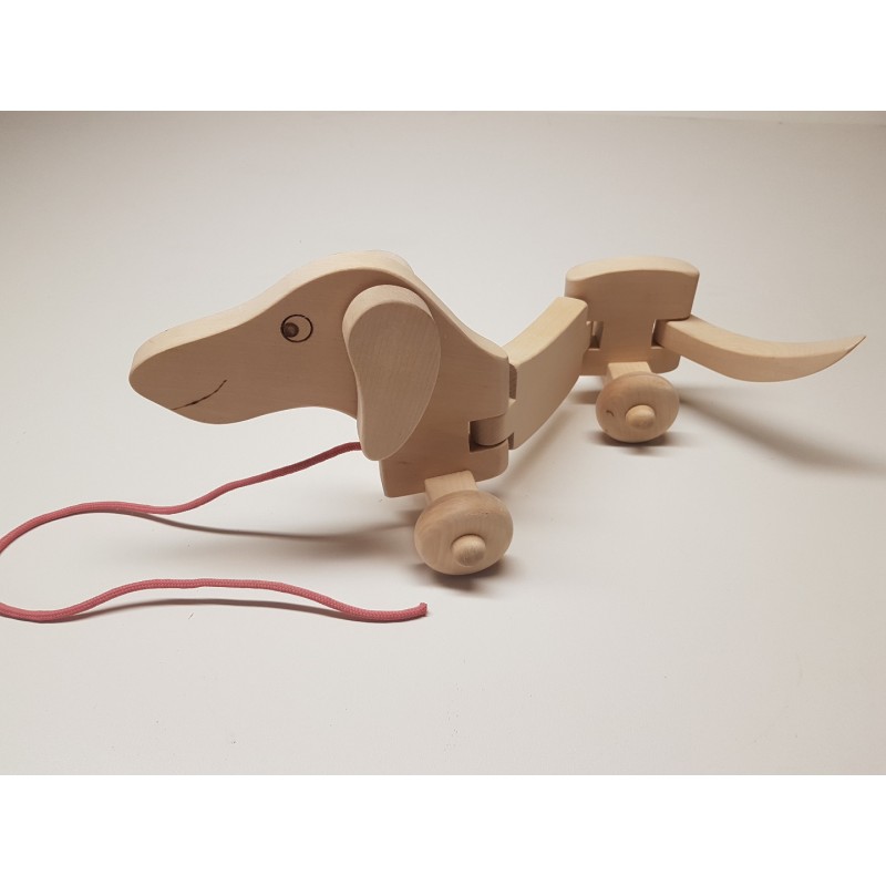 Traukiamas šuo Taksas