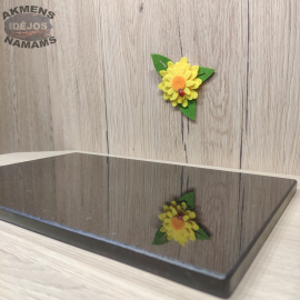 Akmeninė pjaustymo lentutė. Juodas granitas