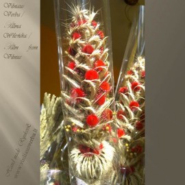 Verba - Gedimino pilis (raudona)