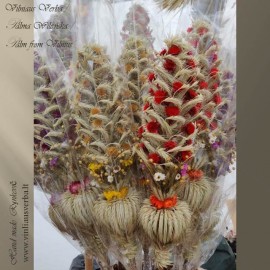 Verba - Gedimino pilis (raudona)