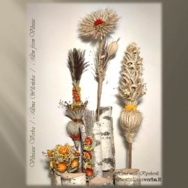 Verba - Kaziuko (raudona) Verba - Kaziuko (raudona)