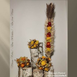 Verba - Paukščio plunksnas (plokščioji-raudona)