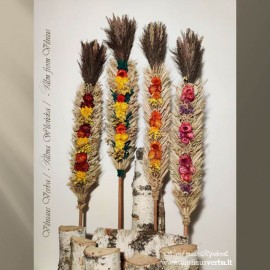 Verba - Paukščio plunksnas (plokščioji-rausva, tamsiai rausva)