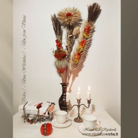 Verba - Paukščio plunksnas (plokščioji-gintarinė)