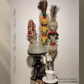 Verba - Paukščio plunksnas (plokščioji-žalia)