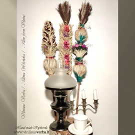 Verba - Paukščio plunksnas (plokščioji-rausva, tamsiai rausva)