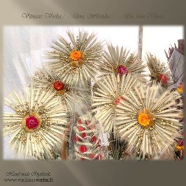 Verba - Ramunė (raudona)