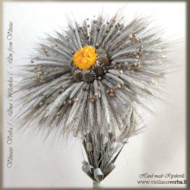 Verba – Ramunė (geltona)