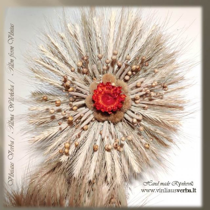 Verba – Ramunėlė (raudona)