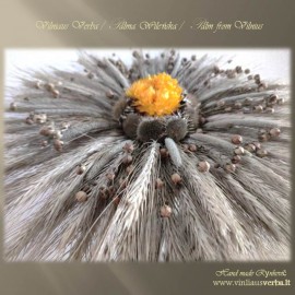 Verba – Ramunė (geltona)