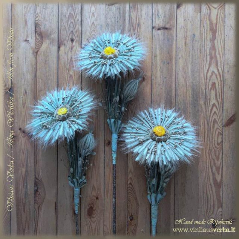 Verba – Ramunė (geltona)