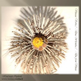 Verba – Ramunėlė (geltona)