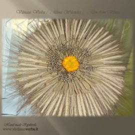 Verba – Ramunėlė (geltona)