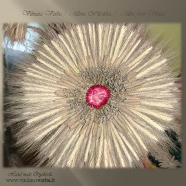 Verba – Ramunė (bordo)