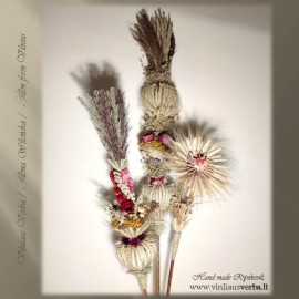 Verba – Ramunėlė (rausva)