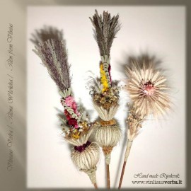 Verba – Ramunėlė (rausva)