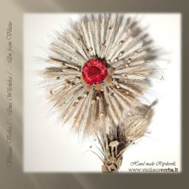 Verba - Ramunė (raudona)