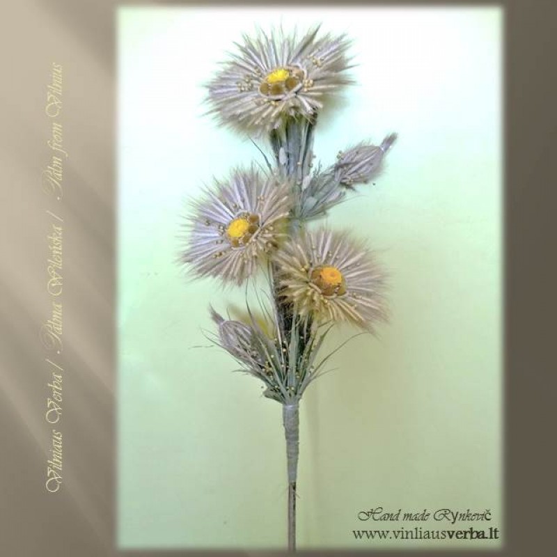 Verba - Ramunių žiedai (geltona) Verba - Ramunių žiedai (geltona)