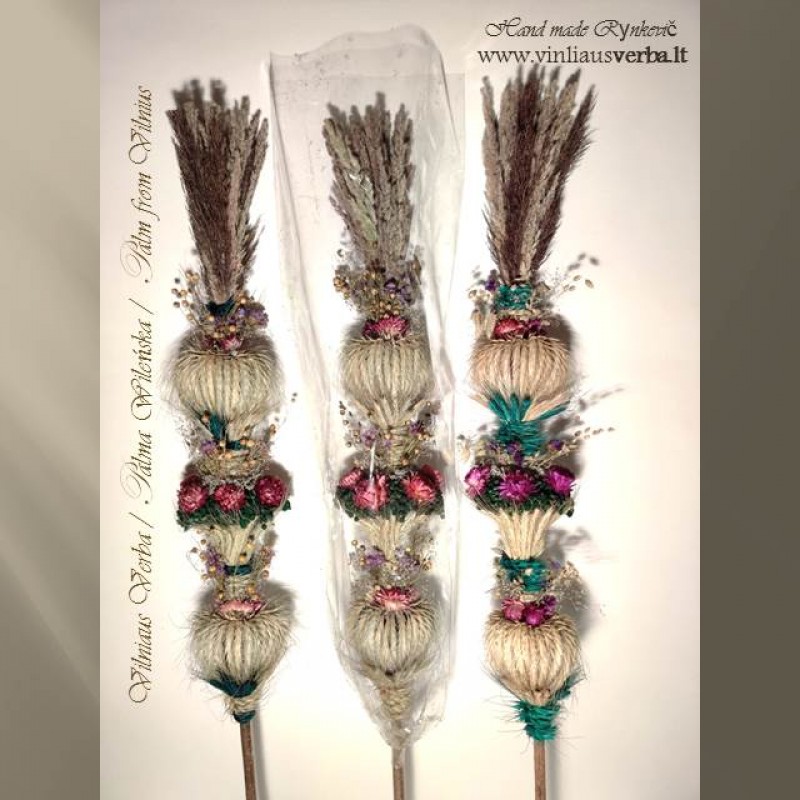 Verba – Šv. Kazimiero karūna (violetinė, žalia)