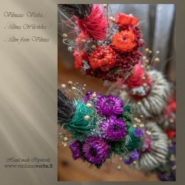 Verba – Šv. Kazimiero karūna (raudona)