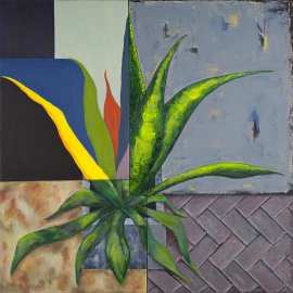 Autorinio paveikslo "Viena Agava, keturi skirtumai" printas