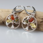 Auskarai su gintaru. Sidabras 925