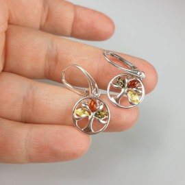 Auskarai su gintaru. Sidabras 925