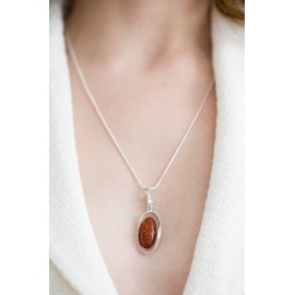 Gintarinis pakabukas, kaklo papupošalas, Sidabrinis pakabukas su grandinėle.