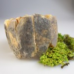 Gintarinė apyrankė dovana jai Gintarinė apyrankė dovana jai