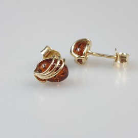 ausakrai gintariniai, paauksuoti maži vinukai