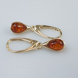 Maži gintariniai auskarai. Sidabriniai auskarai. Dovana Jai.