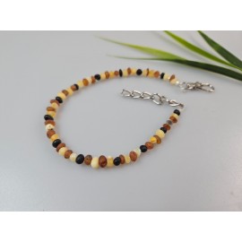 Gintariniai karoliai šunims antkaklis gyvūnams su gintaru