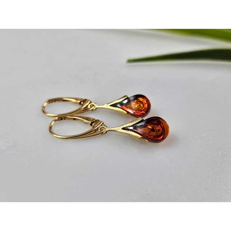 Auksiniai auskarai auksiniai auskarai su gintaru Gintariniai auskarai Dovana mamai Dovana jai